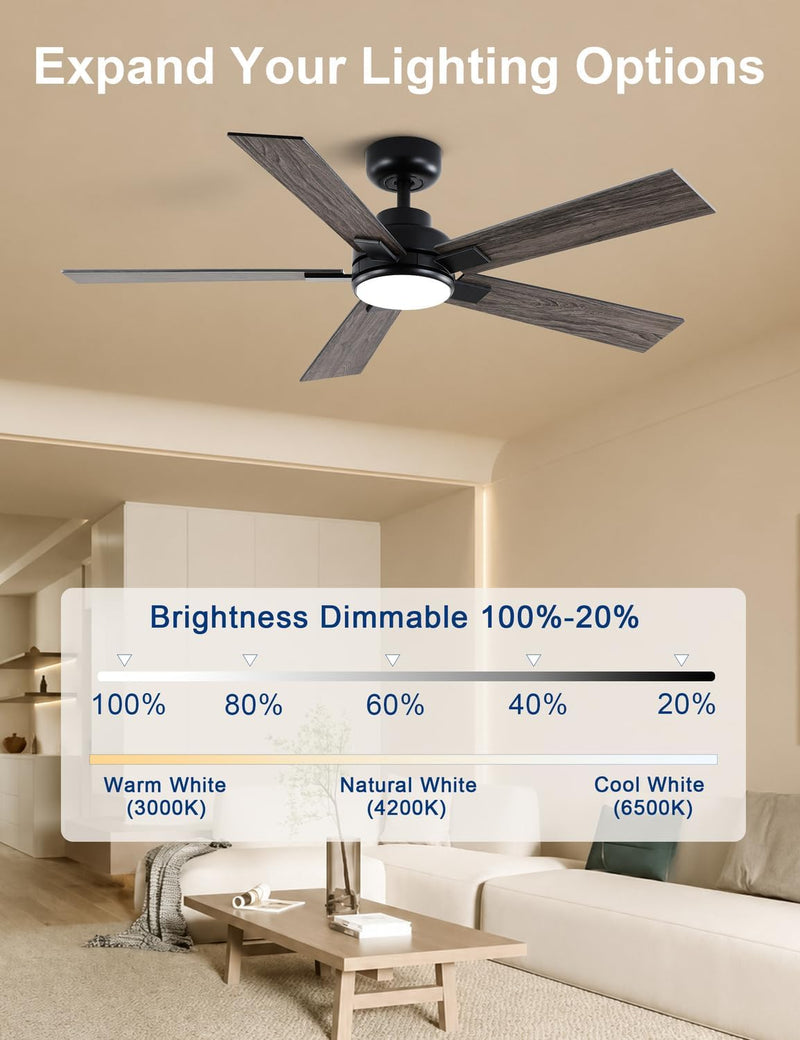 Flush Mount Ceiling Fan with Light