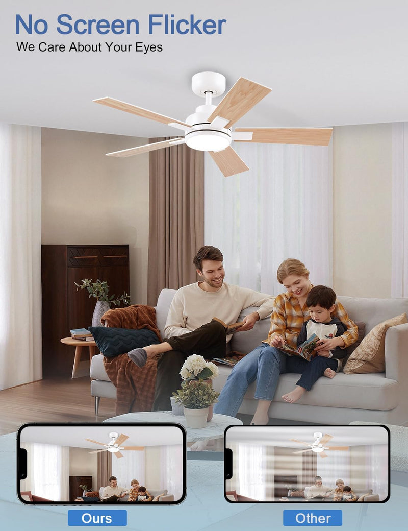 Flush Mount Ceiling Fan with Light