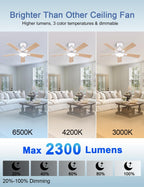 Flush Mount Ceiling Fan with Light