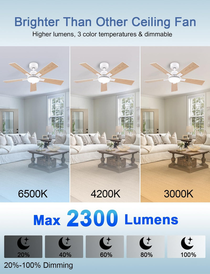 Flush Mount Ceiling Fan with Light