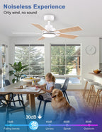Flush Mount Ceiling Fan with Light