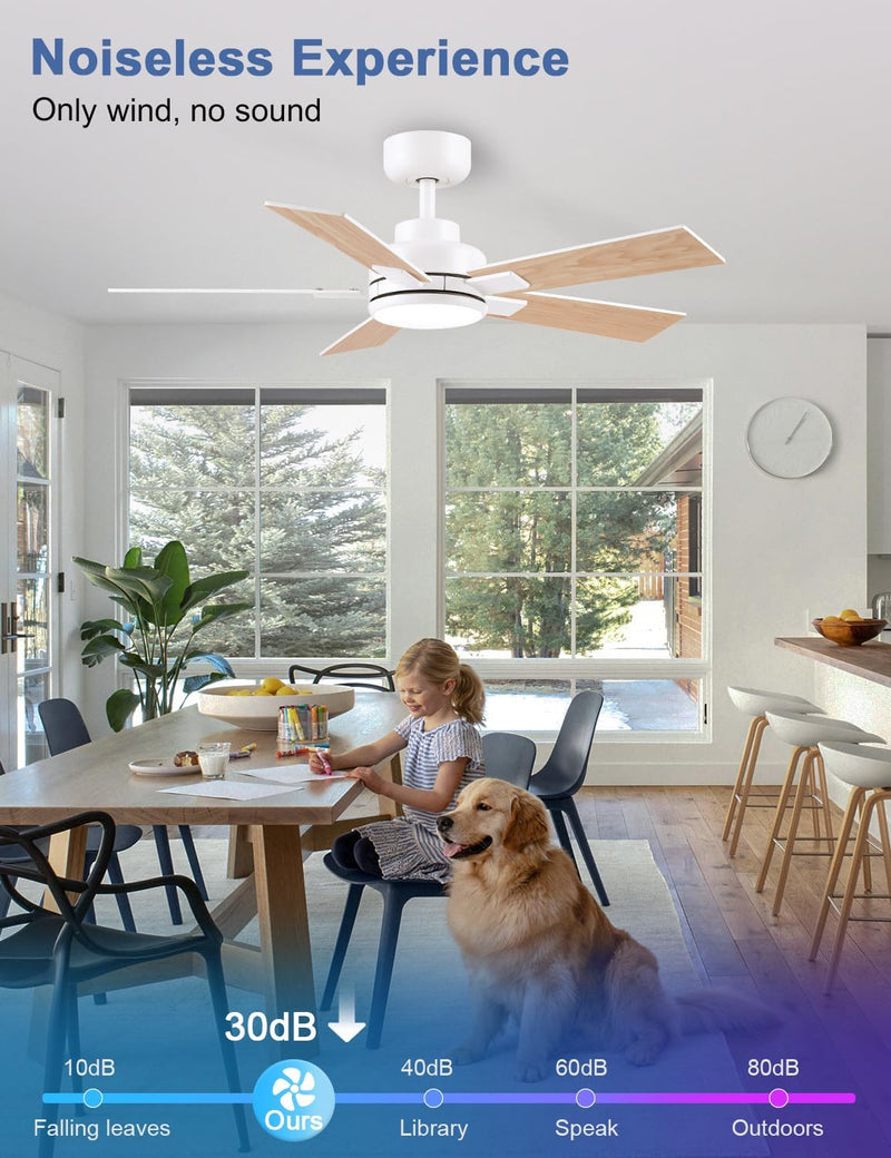 Flush Mount Ceiling Fan with Light