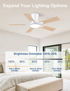 Flush Mount Ceiling Fan with Light