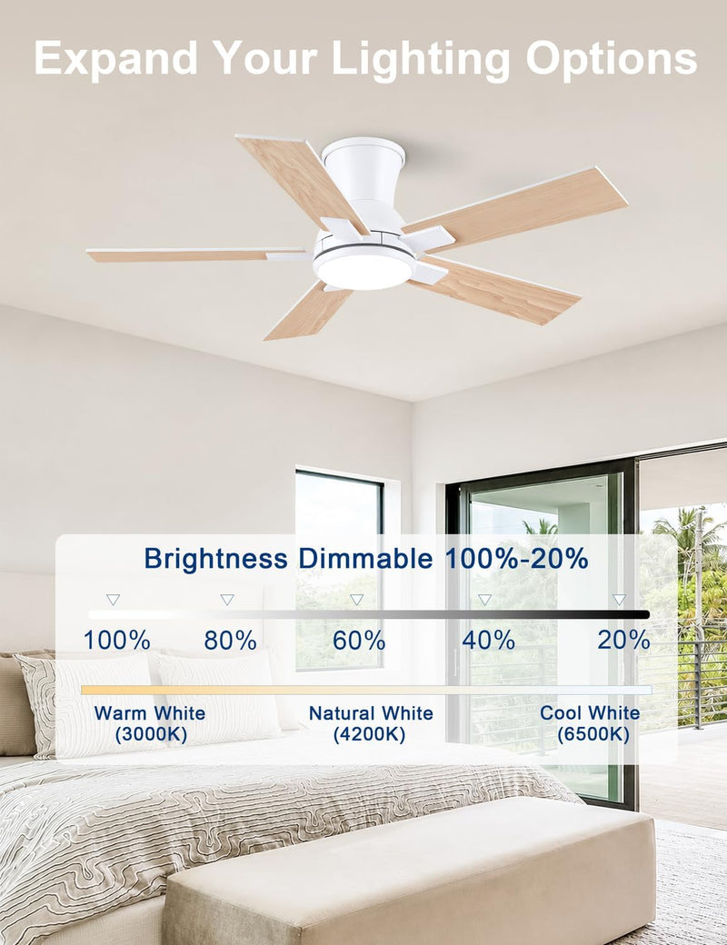 Flush Mount Ceiling Fan with Light