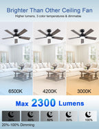 Flush Mount Ceiling Fan with Light