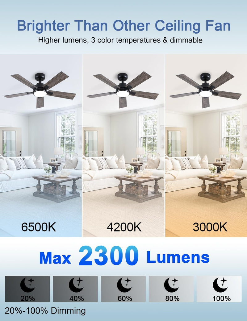 Flush Mount Ceiling Fan with Light