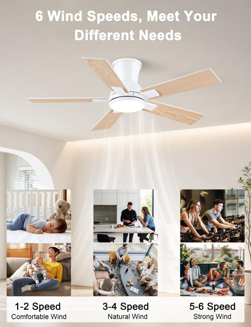 Flush Mount Ceiling Fan with Light