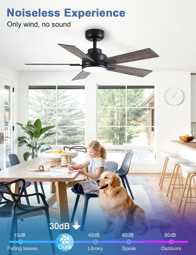Flush Mount Ceiling Fan with Light