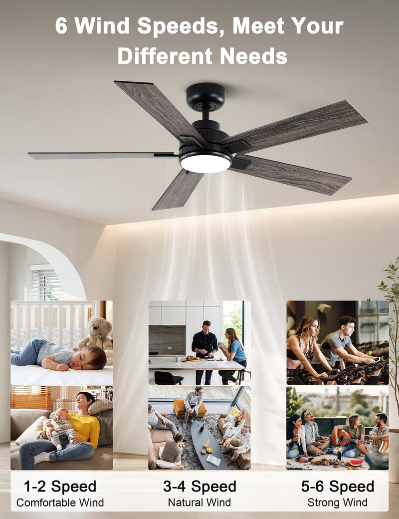 Flush Mount Ceiling Fan with Light