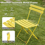 Folding Bistro Table and Chairs for Garden Foldable (Set of 2)