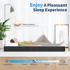 Folding Mattress with Washable Cover
