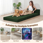 Folding Sofa Bed Convertible Boneless Couch with Pillow