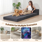 Folding Sofa Bed Convertible Boneless Couch with Pillow