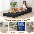 Folding Sofa Bed Convertible Boneless Couch with Pillow