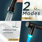 Forious LED Kitchen Tap Mixer Taps with Two