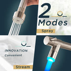 Forious LED Kitchen Tap Mixer Taps with Two