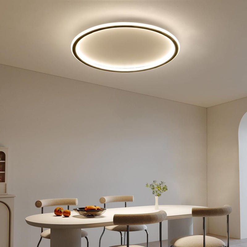 Full Spectrum Ceiling Light Modern Round LED