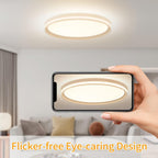 Full Spectrum Ceiling Light Modern Round LED