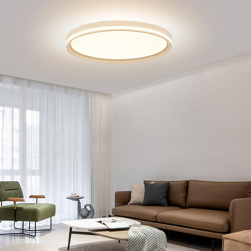 Full Spectrum Ceiling Light Modern Round LED