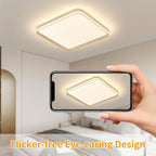 Full Spectrum Ceiling Light Modern Round LED