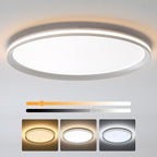 Full Spectrum Ceiling Light Modern Round LED