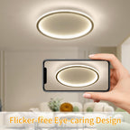Full Spectrum Ceiling Light Modern Round LED