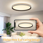 Full Spectrum Ceiling Light Modern Round LED