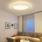 Full Spectrum Ceiling Light Modern Round LED