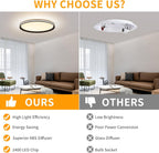 Full Spectrum Ceiling Light Modern Round LED