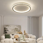 Full Spectrum Ceiling Light Modern Round LED