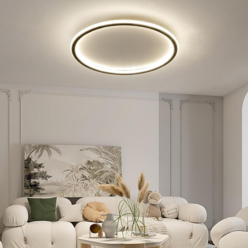 Full Spectrum Ceiling Light Modern Round LED