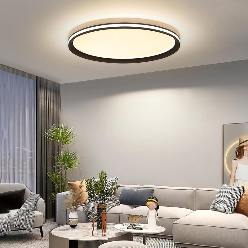 Full Spectrum Ceiling Light Modern Round LED