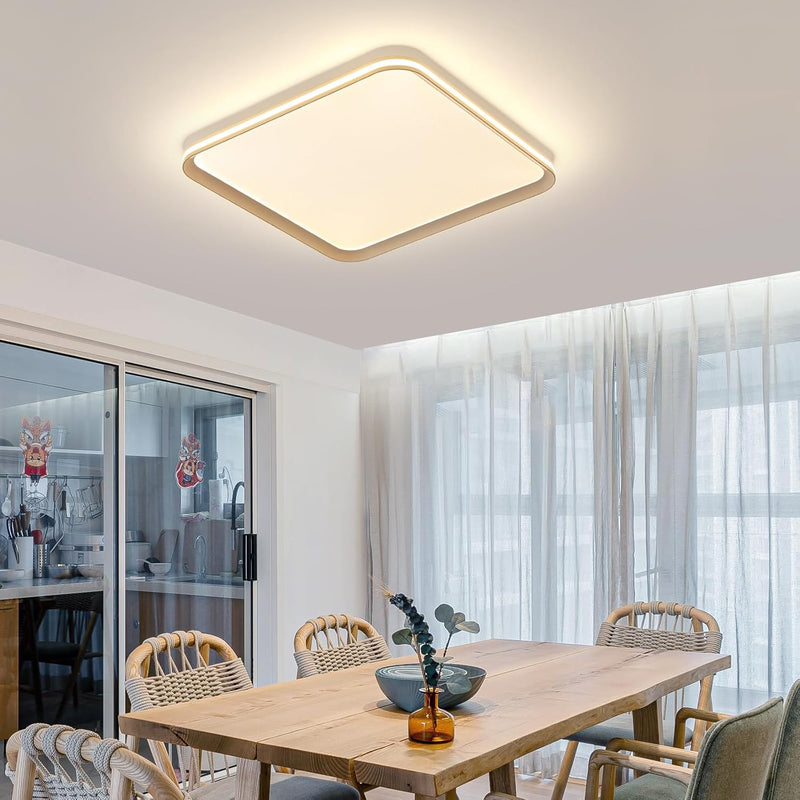 Full Spectrum Ceiling Light Modern Round LED