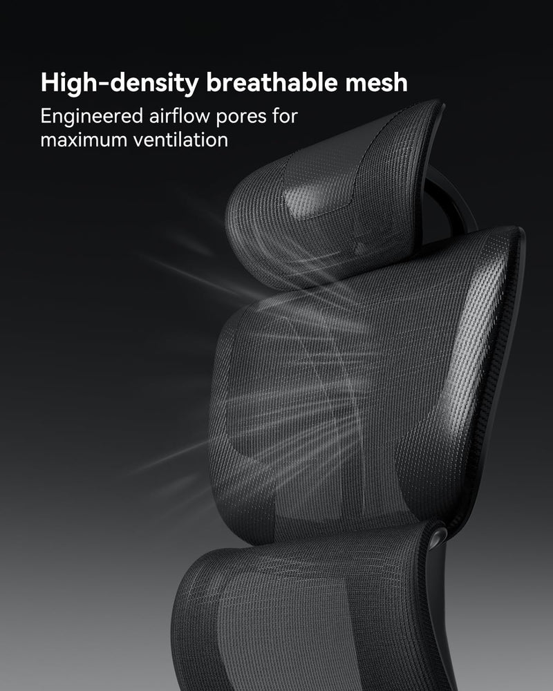 G4 Ergonomic Office Chair with Separated Lumbar