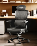 G4 Ergonomic Office Chair with Separated Lumbar