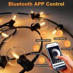 G40 Festoon Lights Outdoor Mains Powered 91.5m App