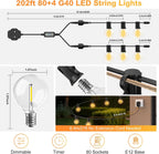 G40 Festoon Lights Outdoor Mains Powered 91.5m App