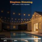 G40 Festoon Lights Outdoor Mains Powered 91.5m App