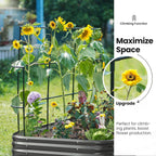 Galvanized Metal Raised Garden Bed with Trellis
