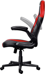 Gaming Chair with Padded Arm Rest