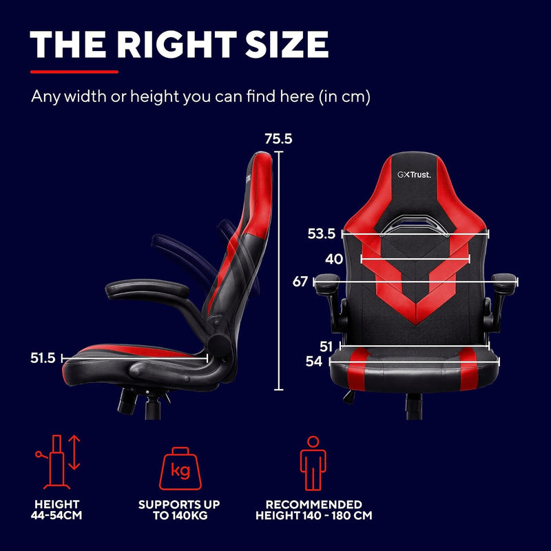 Gaming Chair with Padded Arm Rest