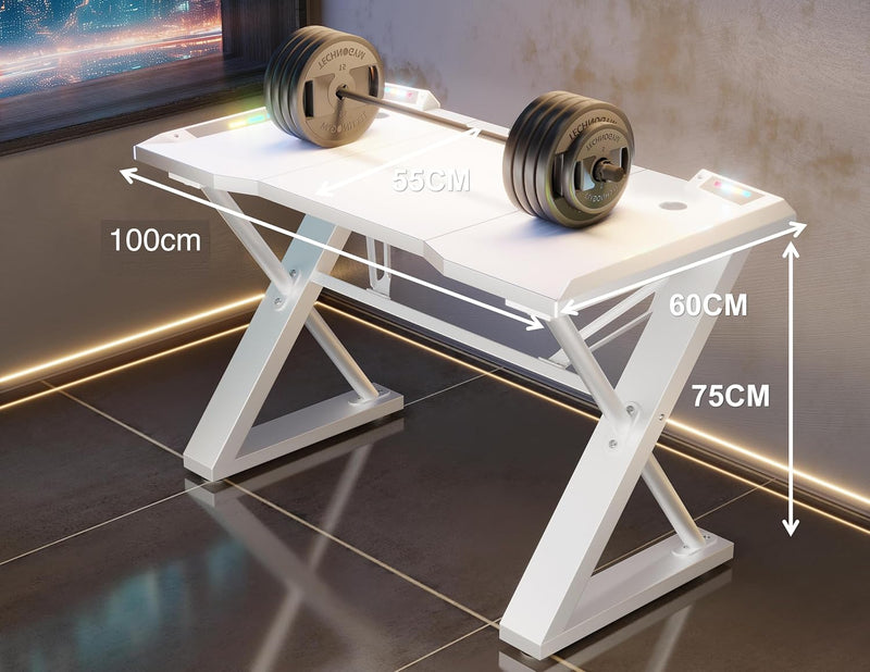 Gaming Desk with LED