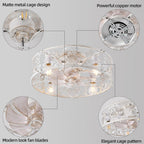 Ganeed Caged Ceiling Fan with Lights Industrial Style