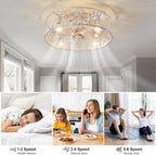 Ganeed Caged Ceiling Fan with Lights Industrial Style