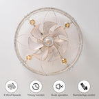 Ganeed Caged Ceiling Fan with Lights Industrial Style