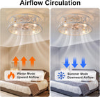 Ganeed Caged Ceiling Fan with Lights Industrial Style