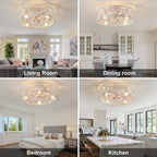 Ganeed Caged Ceiling Fan with Lights Industrial Style