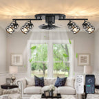 Ganeed Caged Ceiling Fan with Lights Industrial Style