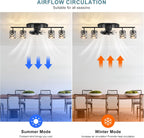 Ganeed Caged Ceiling Fan with Lights Industrial Style