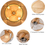 Ganeed Caged Ceiling Fan with Lights Industrial Style